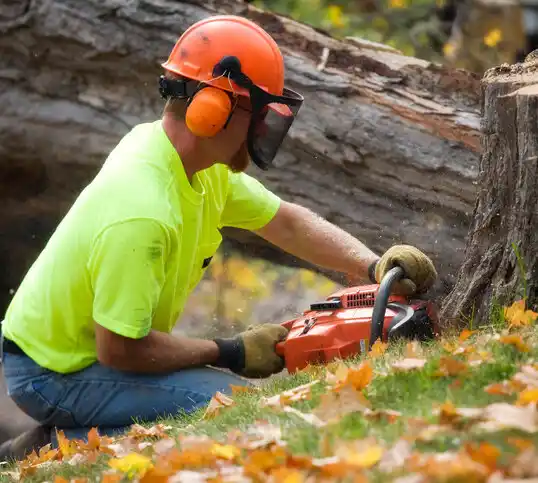 tree services Vaughn